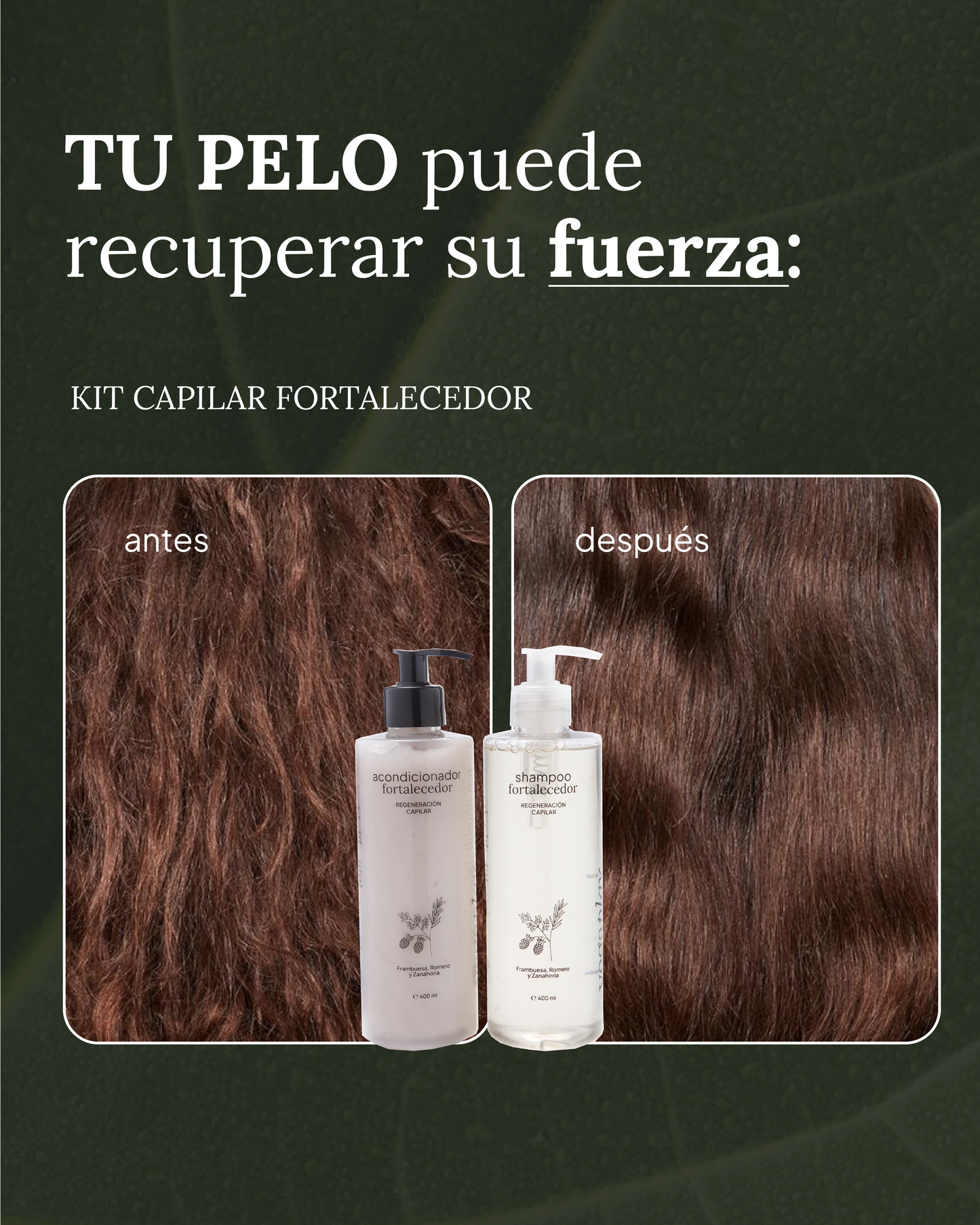 KIT VEGAPLAY® CUIDADO CAPILAR FORTALECEDOR - Anti-Frizz