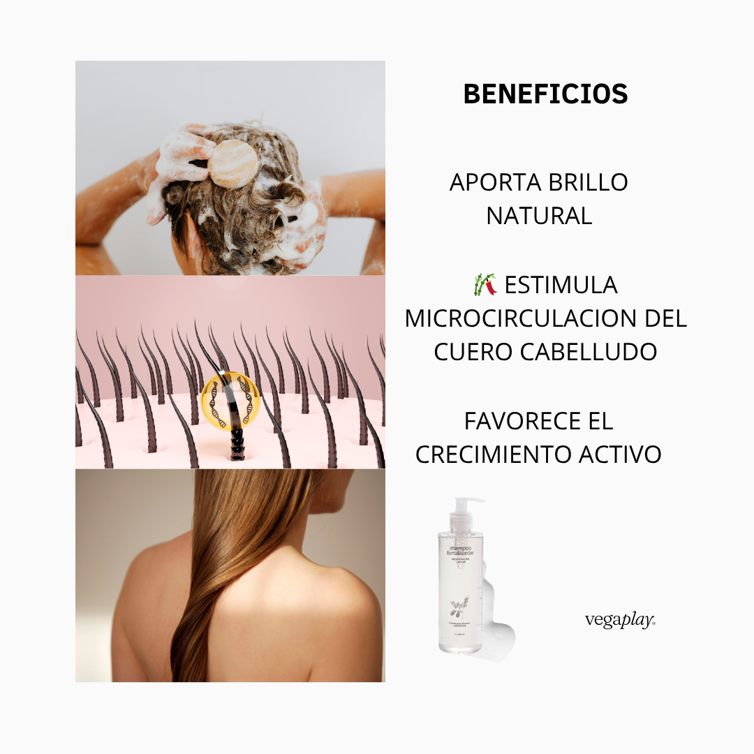 KIT VEGAPLAY® RUTINA CAPILAR Shampoo – Fortalecedor + Shampoo y Bálsamo Reparador