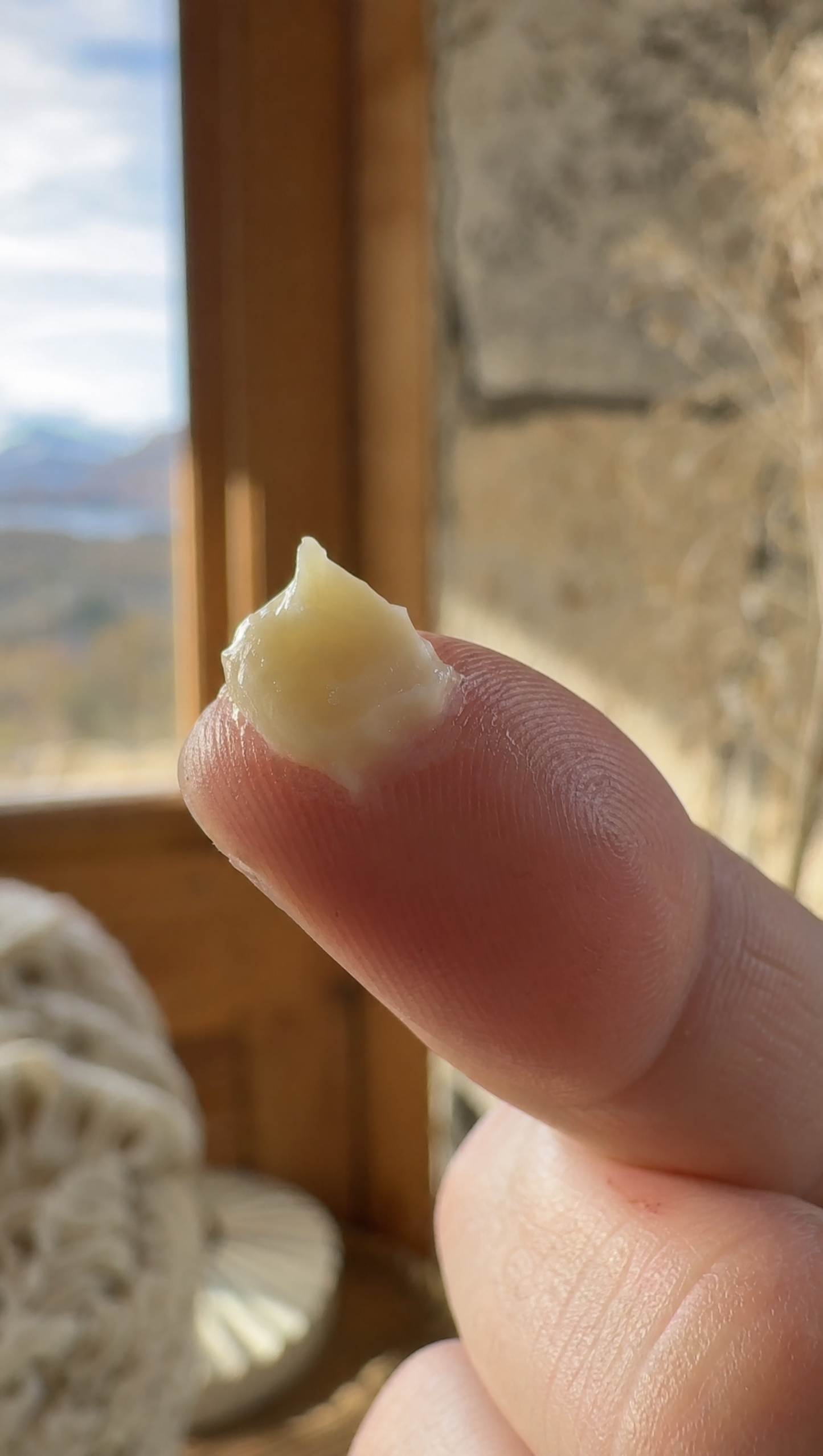 Patagonia Rescue Balm - Bálsamo Multiuso con Caléndula VegaPlay