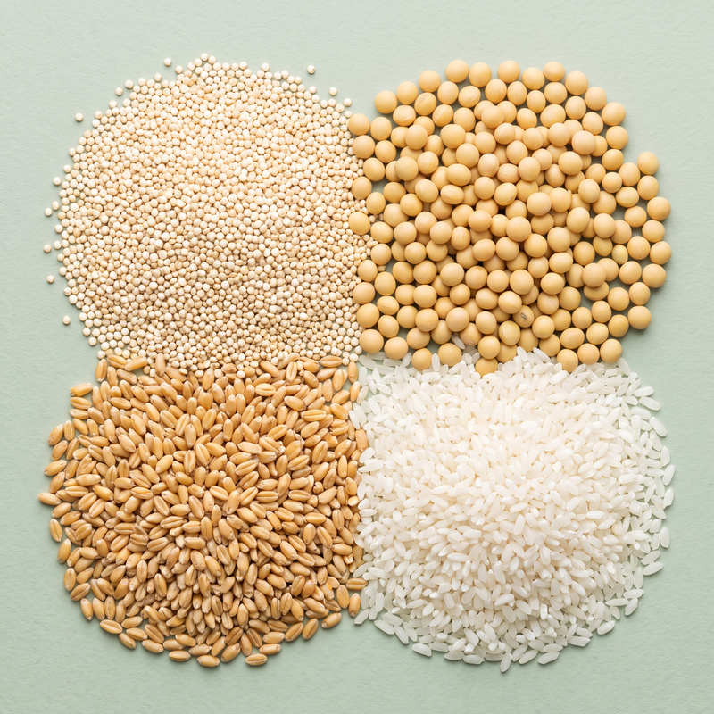 Proteínas botánicas